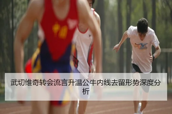 武切维奇转会流言升温公牛内线去留形势深度分析 | FBSports